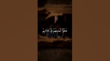 قال رب إني دعوت قومي ليلاً ونهاراً / سورة نوح /