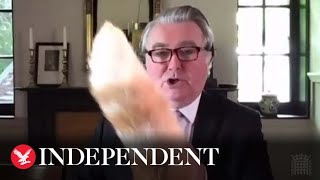 Rocco, Put Your Tail Down Mps Cat Interrupts Parliamentary Committee Session