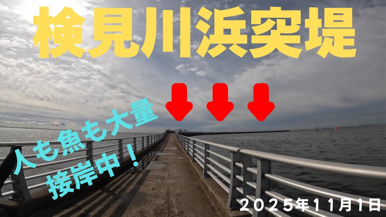 【検見川浜突堤】サビキ釣りを楽しんでみた！