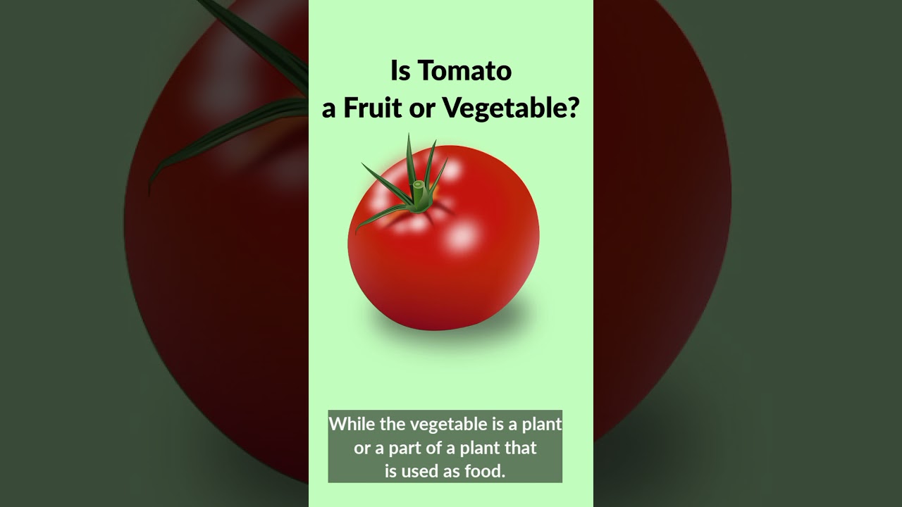 Is Tomato a Fruit or Vegetable? YouTube