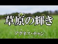 草原の輝き / アグネス・チャン (歌詞入り)