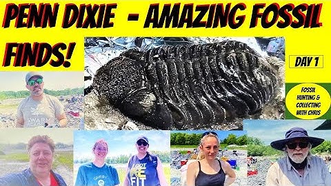 Penn Dixie Amazing Fossil Finds.  Fossil Hunting and Fossil Collecting With Chris Trilobites Fossils