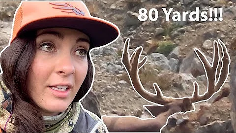 “ABOVE TIMBERLINE” Nicole’s Public Land Mule Deer Hunt (part 2)
