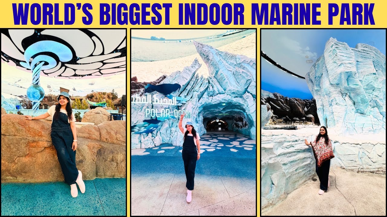 Seaworld Abu Dhabi, World's Largest Aquarium | What's Inside SeaWorld |#abudhabi #betweentheplaces.7