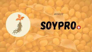 🌵SoyPro - The fitness expert