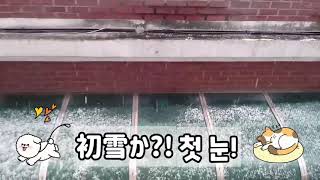 경기도 첫눈 初雪かな ここは韓国キョンギド