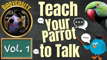 Birbversity [Vol. 1] Teach Your Parrot To Talk | Parrot Town TV for Your Bird Room