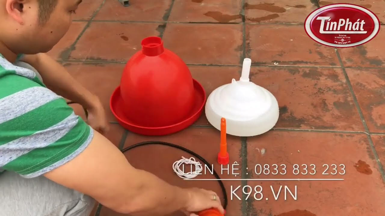 Máng uống nước tự đông cho gà Giải pháp tiện lợi và hiệu quả trong nuôi gà công nghiệp