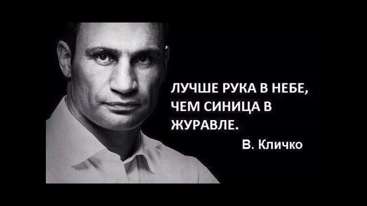 Крылатые фразы кличко картинки