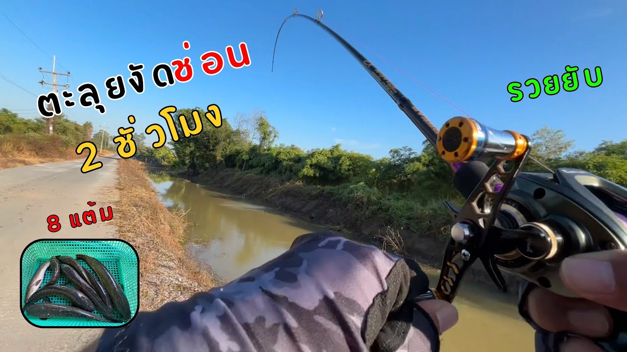 ตะลุยตกปลาช่อน ออกหมาย 2 ชั่วโมง 8 แต้ม
