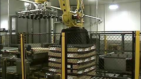 PASCO Robot - Layer Case Palletizing System