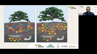 Tema: Manejo Nutricional del café