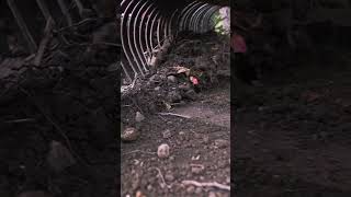 Move Debris Fast with the Landscape Rake