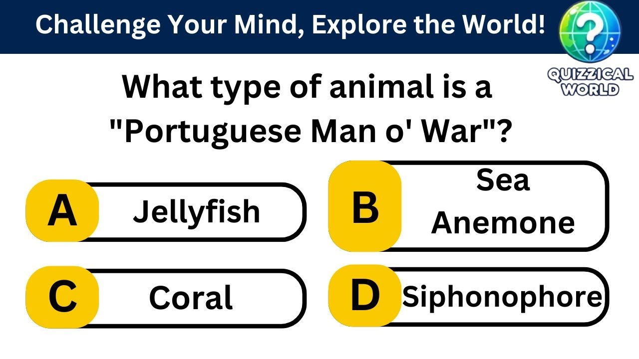 Think You’re a Trivia Genius? Take This Mind-Blowing Quiz! - YouTube
