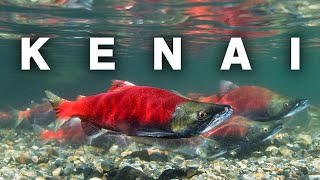 Salmon Fishing on the Kenai River | A Truly Alaskan Experience [S1E17]