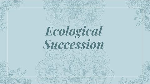 Ecological Succession Overview