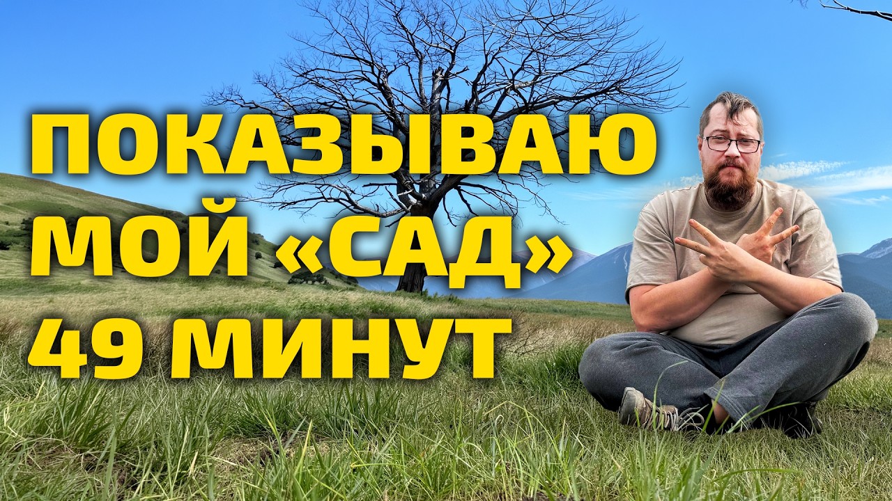 Что стало с нашим 
