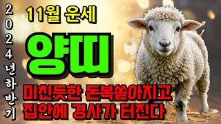 양띠 주목! 2024년 11월 양띠 운명이 바뀝니다ㅣ힘들었던 상반기를 한번에 보상받을 재물이 들어옵니다 55…