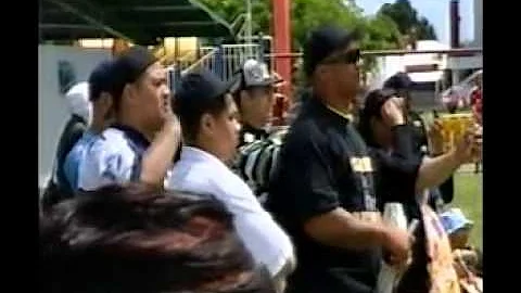 KILLER BEEZ (Auckland) BEEZ STING - DOCUMENTARY