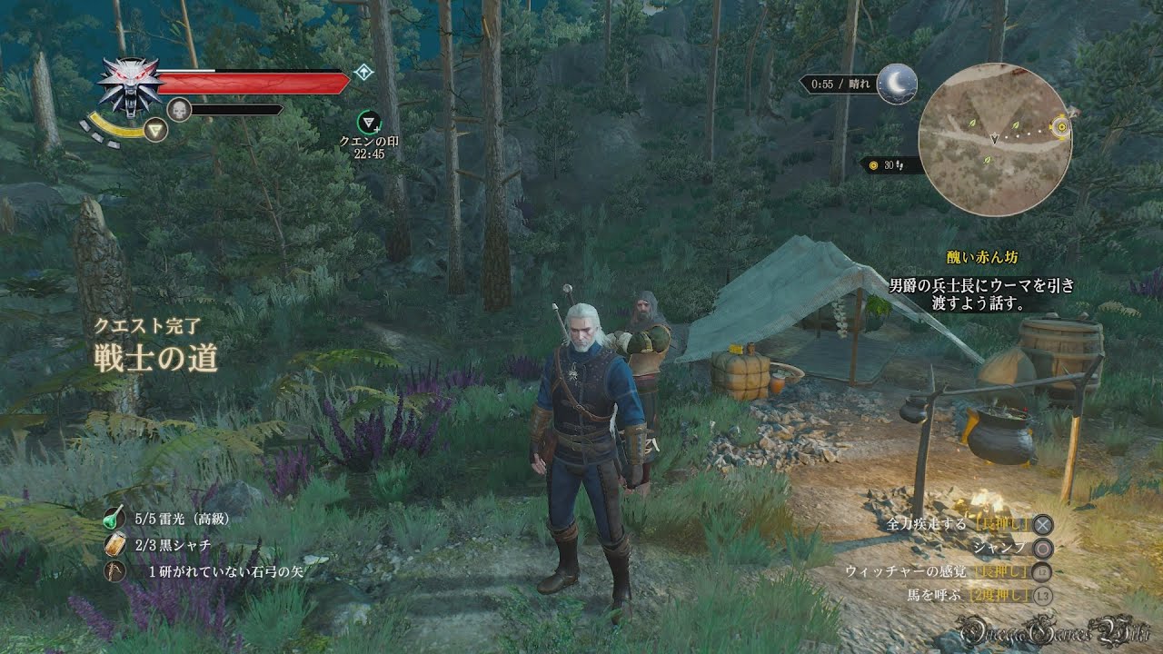 Ps4 The Witcher 3 Wild Hunt Part 166 Side Quest 戦士の道 宝探し 二ルフガードの財宝 Youtube