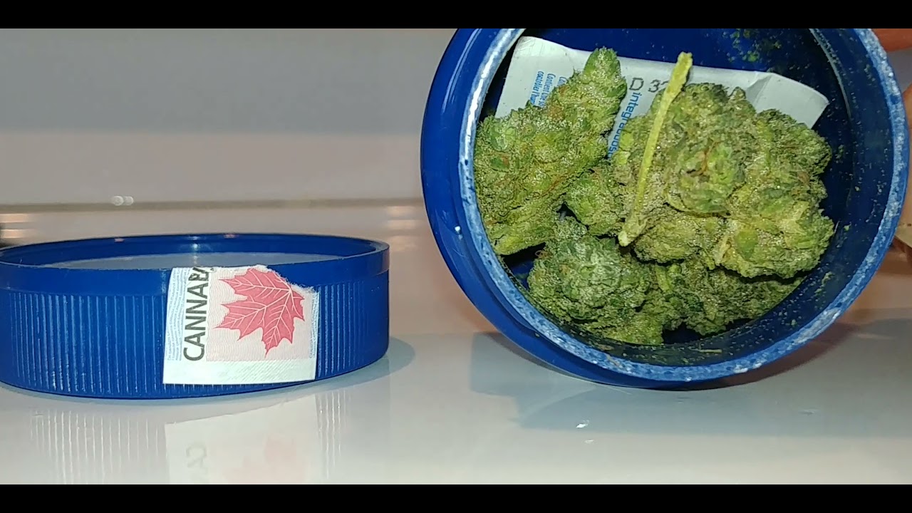 Driftwood Diesel san rafael