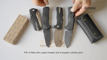 Official TM1 LionSteel Video