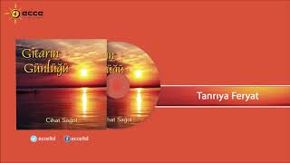 Tanrıya Feryat  - Cihat Sağol Resimi