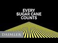 Daimler Truck AG | Every Sugar Cane Counts
