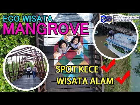 wisata-mangrove-paling-indah-di-indonesia-!-cuma-di-mangrove-wonorejo-surabaya