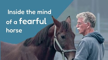 Inside the mind of a fearful horse / Piet Nibbelink