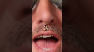 SUPER TROOPERS 3 | The Ultimate Mustache Ride | Searchlight Pictures