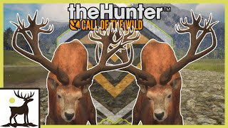 Hunting HUGE Red Deer on Te Awaroa | theHunter: Call of the Wild