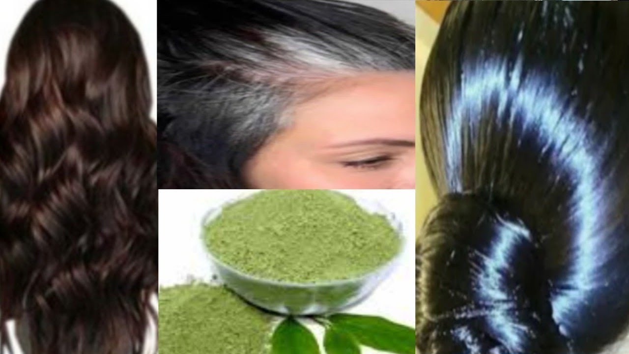 #طريقة إستعمال الانديكو لصباغة للشعر باللون البني او اللون الاسود وتغطي الشيب من أول إستعمال