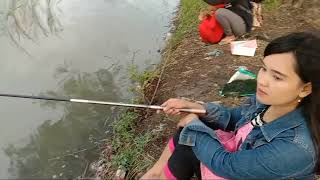 Mancing Di Tambak Dapat Ikan Gabus