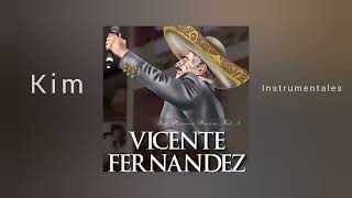 Vicente Fernández Ft Luis Miguel - Motivos ( Audio )