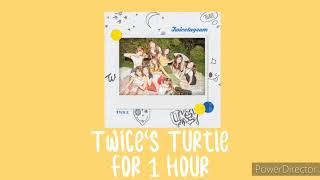 Twice S Turtle For 1 Hour Youtube