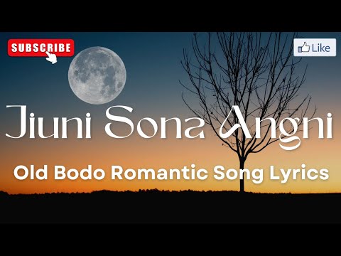 Jiuni Sona Angni  Bodo Song Lyrics  Old Bodo Romantic Song  Enaini Panjari 1996  Bodo Movie Song