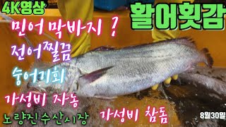 찔끔 전어,막바지 민어,가성비 참돔 자농 8/30(04:00-05:30) 노량진수산시장의 좋은품질 가성비최고인 활어횟감 시세정보 Seoul Korea Live Fish Market