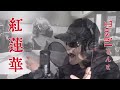 【Toshlさん】本気で紅蓮華アレンジしてみた【鬼滅の刃】