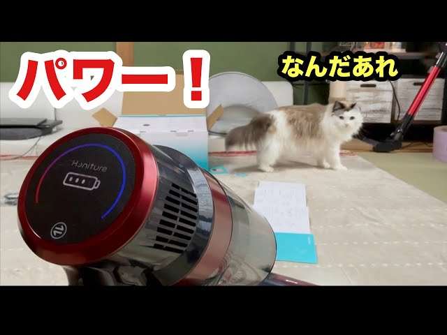 犬猫飼いさん必見！おすすめパワー掃除機です - YouTube