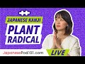 Japanese Kanji: How to Use the Plant Radical è‰¹