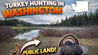 HEART-POUNDING CLOSE RANGE GOBBLER!!