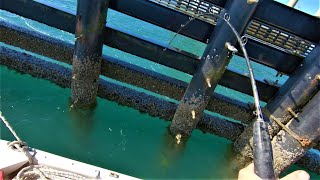 Solunar Fishing - Fact or Fiction