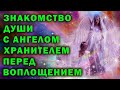 ДУШИ ПЕРЕД ВОПЛОЩЕНИЕМ / РЕИНКАРНАЦИЯ / ЗНАКОМСТВО С АНГЕЛОМ