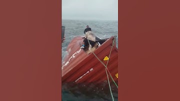 😰container lost in sea 🌊⛴️#shorts