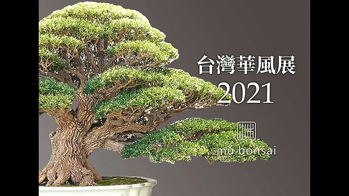 台灣華風展 2021 華風獎逸品獎∣全國盆栽展 the 26th HWA-FONG National Bonsai Exhibition in 2021. Taiwan - 天天要聞