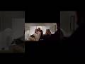 Dad Finds And Rescues His Daughter Like If You Have Seen This Film Called Taken 