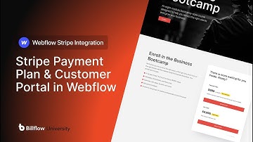 How to Add Stripe Payment Plans & Customer Portal in Webflow