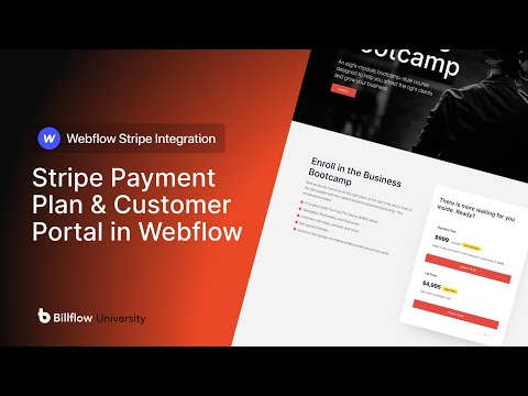 How to Add Stripe Payment Plans & Customer Portal in Webflow