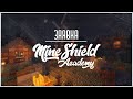 Заявка на MineShield Academy // NIKI \\#mineshieldacademy